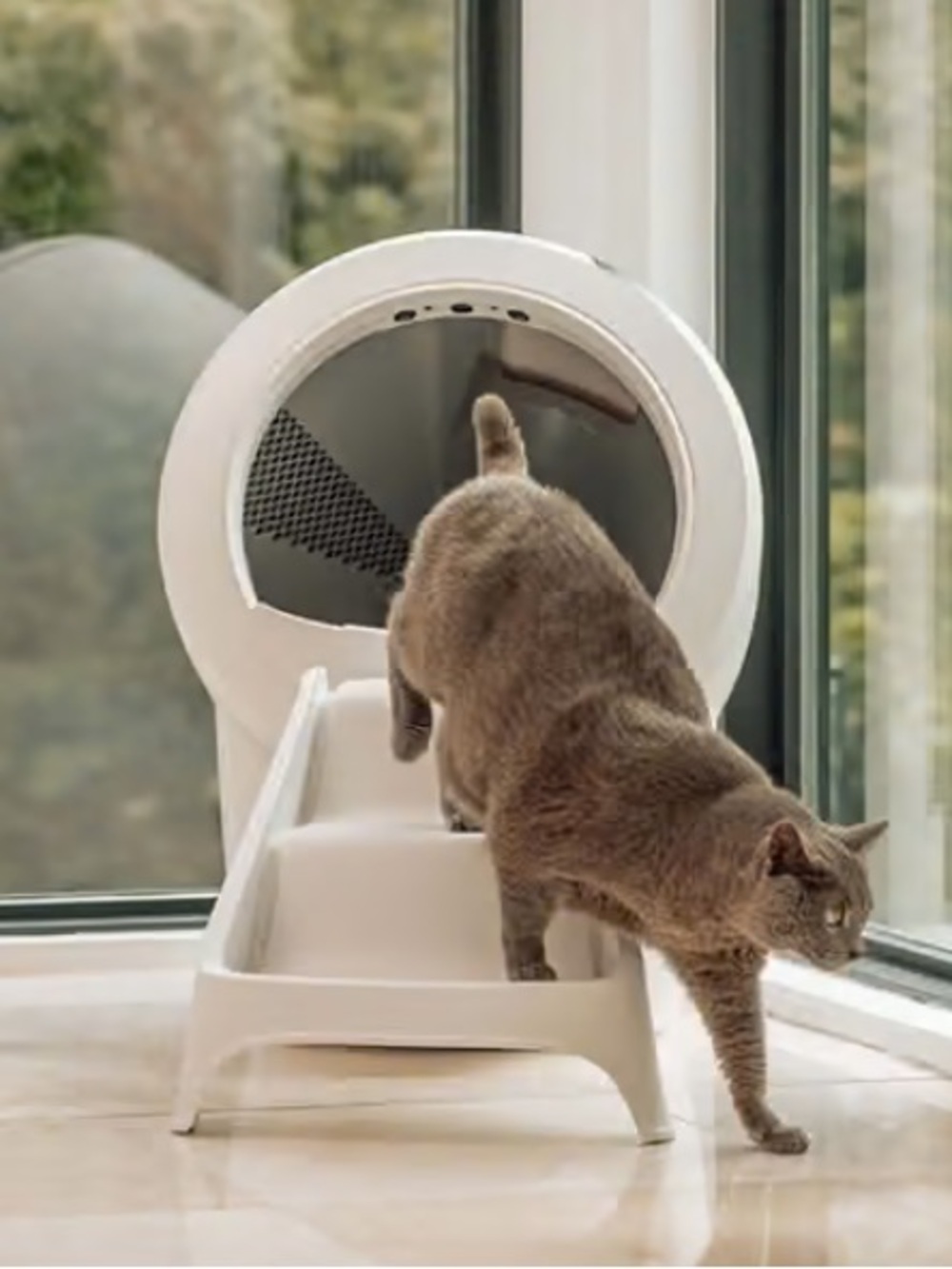 Litter Robot 4 Ramp